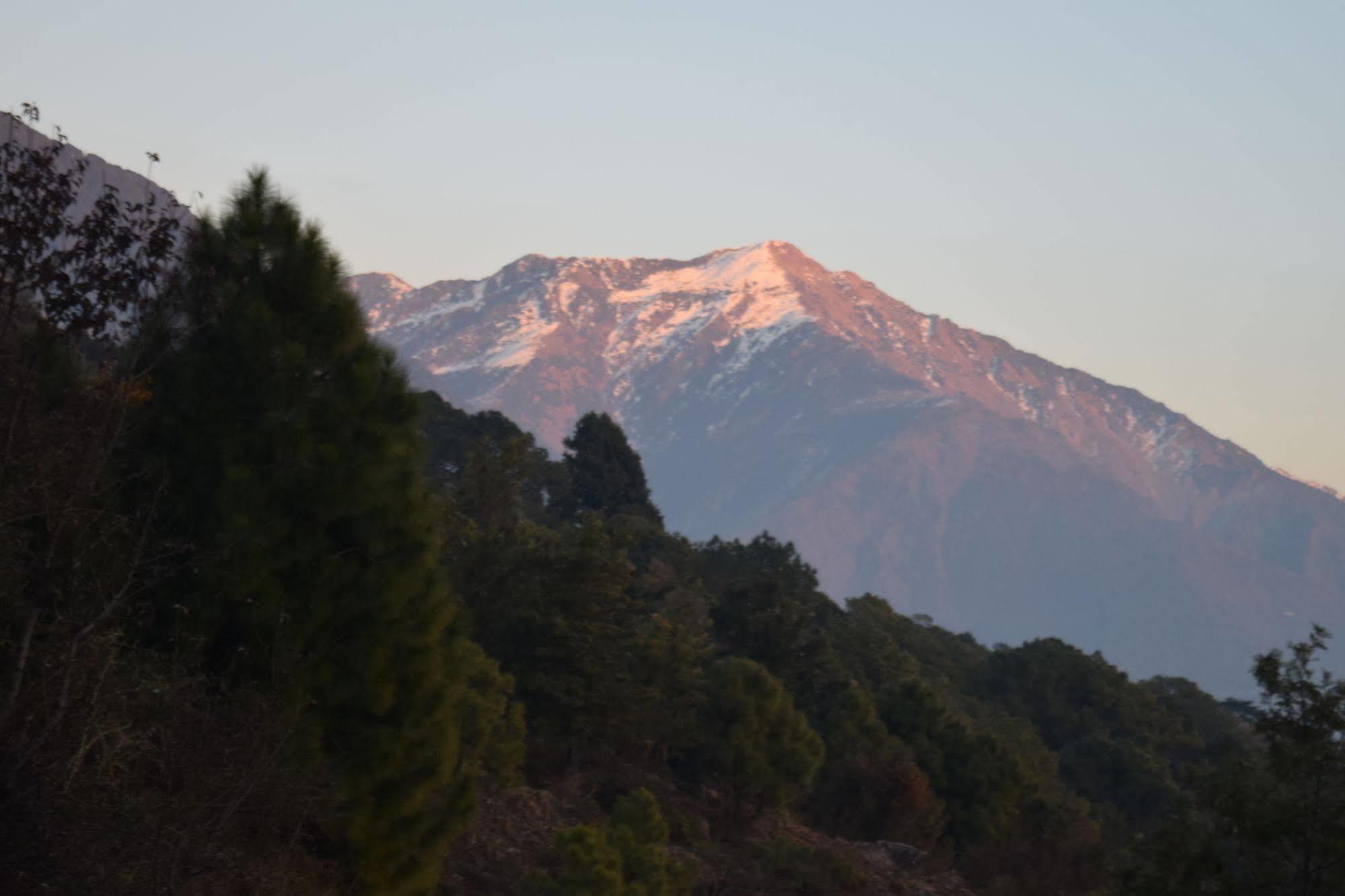 The Exotica Hotell Dharamshala Eksteriør bilde